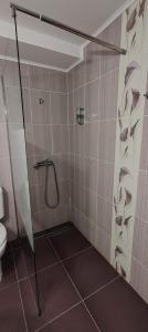 a bathroom with a shower with fishes on the wall at Pensiunea Casiana in Ciulpăz