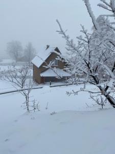 a house covered in snow in a field at BiSER PANČIĆA in Sekulić 