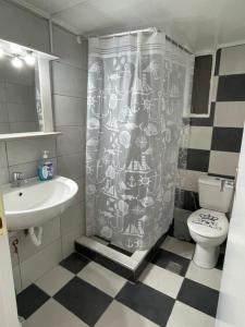 ピレウスにあるNikea apartment near Pireus port and metro st IIIのシャワーカーテンとトイレ付きのバスルーム