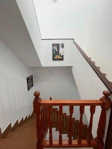 大加那利岛拉斯帕尔马斯Coliving Villa El Gago的相册照片