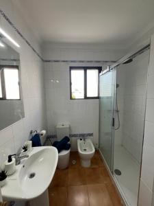 大加那利岛拉斯帕尔马斯Coliving Villa El Gago的带水槽、马桶和淋浴的浴室 更多37张照片