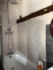 a bathroom with a bath tub with a shower at Studio confortable in Annonay