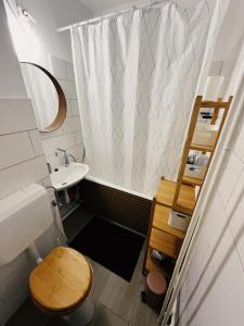 a small bathroom with a toilet and a sink at AJ - tér apartman miskolc in Miskolc +12 photos