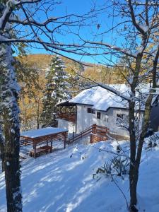 Šumska Kosmaj durante l'inverno