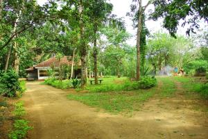 a dirt road leading to a house in a park at Kandy Little White House in Kandy