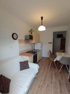 Kuchyň nebo kuchyňský kout v ubytování Apartments Ivo