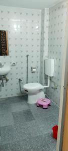 a bathroom with a toilet and a sink at Rainbow Homestay Khajuraho in Khajurāho