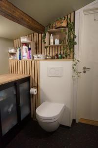 a bathroom with a toilet with plants on the shelf at Koselig hus ved Kabelvågmarken in Kabelvåg +16 photos