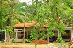 a house in the middle of a forest at Kandy Little White House in Kandy +23 photos