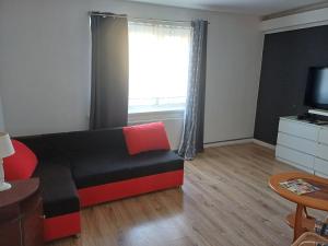ein Wohnzimmer mit Sofa und Fernseher in der Unterkunft Apartament-Zaodrze,2- pokoje,kuchnia,łazienka in Oppeln