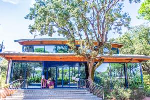 a house with a tree in front of it at Residence Riva degli Etruschi in San Vincenzo