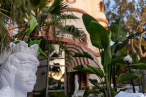 Zahrada ubytování Mg Palace Hotel Costa del Sole