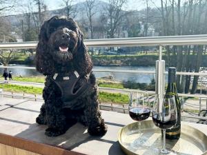 a dog sitting on a table next to two glasses of wine at Exklusive Wohnung Mit Ahrblick 2 in Bad Neuenahr-Ahrweiler