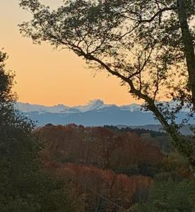 a view of a forest with mountains in the background at Le Grenier at Garos in Garos +50 photos