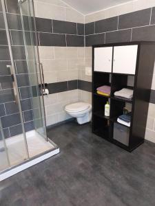 a bathroom with a shower and a toilet at La Tour de Jeanne, à 10 minutes de Saint-Emilion in Gardegan-et-Tourtirac +6 photos