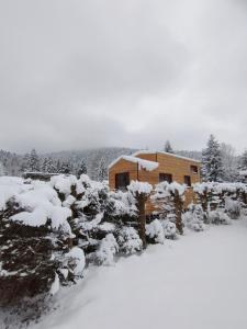 eine Blockhütte im Schnee mit Bäumen in der Unterkunft Tiny House - Cottages - Mobilhomes - Camping Les Granges Bas in Gérardmer
