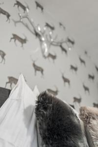 Zdjęcie z galerii obiektu Innsbruck Underground Atelier w mieście Innsbruck