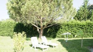 two white chairs and a tree in a yard at La Maison des Hirondelles, piscine, billard, ping pong, 3 terrasses et jardin in Montauban