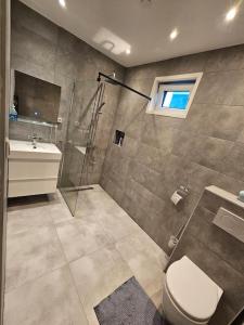 a bathroom with a shower and a toilet and a sink at Smile Home Wijk aan Zee 1 in Wijk aan Zee
