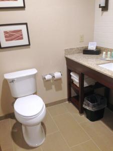a bathroom with a white toilet and a sink at Comfort Inn & Suites Brattleboro I-91 in Brattleboro