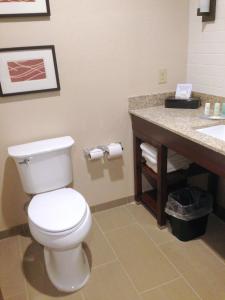 Comfort Inn & Suites Brattleboro I-91 في براتلبورو: حمام به مرحاض أبيض ومغسلة