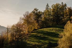 Paesaggio naturale nelle vicinanze dell'hotel