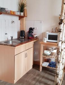 a small kitchen with a sink and a microwave at Traumfänger in Heltersberg