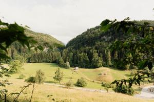 Paesaggio naturale nelle vicinanze dell'hotel