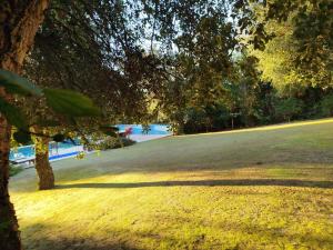a tree in a field with a beach in the background at Sotogrande - Estancia en plena naturaleza - Abril in Sotogrande