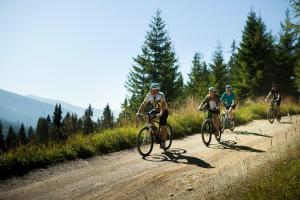 Jazda na bicykli v okolí ubytovania Landal Katschberg