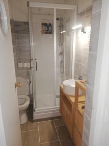 a bathroom with a shower and a toilet and a sink at Lydia in Port Leucate