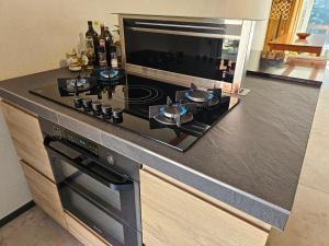 Η κουζίνα ή μικρή κουζίνα στο Luxus-Wohnung mit IndoorPool