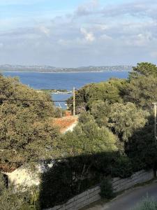 a view of a body of water with trees at Appartement Centre Ville in Porto-Vecchio
