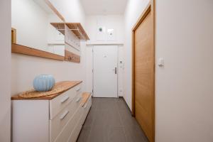 Kuchyňa alebo kuchynka v ubytovaní Seifertova Apartments by Willstay