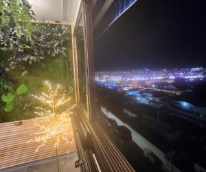 马斯帕洛马斯Apartamento Yumbo Iguazu Luxury的夜晚的城市景观,烟花