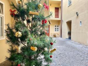 Fotografie z fotogalerie ubytování Old Town Prague Apartment v Praze