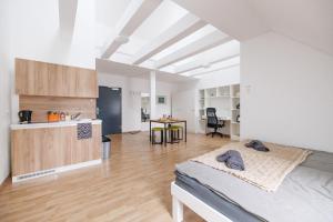 Kuchyň nebo kuchyňský kout v ubytování Central Urban Studio
