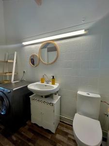 ein Badezimmer mit Toilette, Waschbecken und Spiegel in der Unterkunft Maisonnette 2 à 4 pers- Jardin privatif clôturé- Calme- Stationnement Gratuit- Pau Ouest Billère in Billère + 14 Fotos
