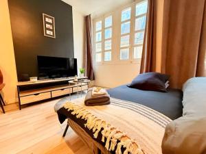 TV a/nebo společenská místnost v ubytování Appartement 3 prsn Au pied de la Citadelle