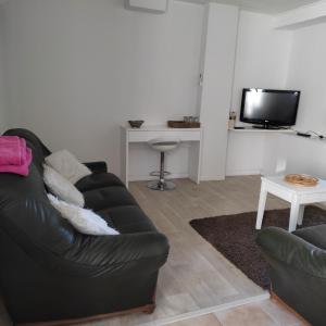 TV a/nebo společenská místnost v ubytování le nid