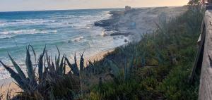 a view of a beach with the ocean at Rifugio al mare in Marina di Lizzano