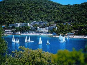 a group of sailboats on a large body of water at Vemar Apartment - Near the beach, Private parking in Dubrovnik