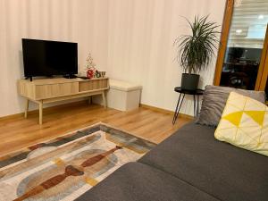 Televisyen dan/atau pusat hiburan di St Dominique - T2 Cosy avec parking