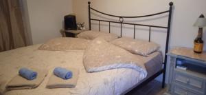 a bedroom with a bed with two blue pillows at La dimora del castagno in Ormea