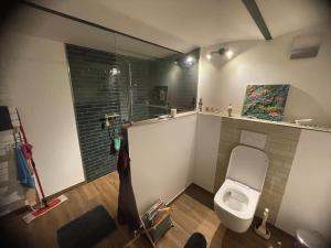 a bathroom with a toilet in a room at Zimmer Mühlenbach, ein Zimmer in FeWo mit 2 Zi in Schieder-Schwalenberg +72 photos