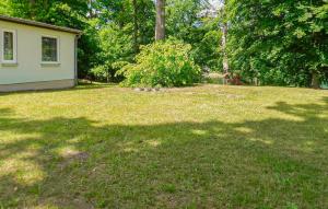 a yard with a house and a shadow of a tree at Ferienhaus Boitzenburger Land in Rosenow +13 photos