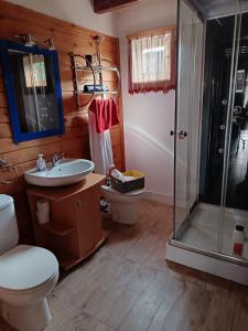 ein Badezimmer mit Dusche, Toilette und Waschbecken in der Unterkunft La casita in Tarazona de la Mancha