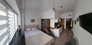 Un dormitorio pequeño con una cama y un escritorio. en Encanto room, en Niš