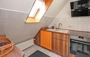 Kuchyň nebo kuchyňský kout v ubytování Ferienwohnung Userin