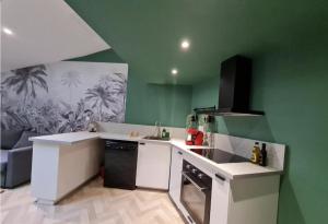 a green kitchen with a sink and a dishwasher at La Canopée - Central & Parking in Riom +20 photos